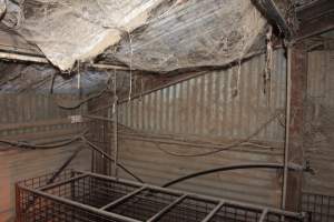 Farrowing crates at Willawa Piggery NSW - Australian pig farming - Captured at Willawa Piggery, Grong Grong NSW Australia.