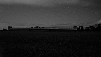 Piggery shed from outside at night - Australian pig farming - Captured at Yelmah Piggery, Magdala SA Australia.