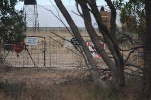 Signage on front gate - Australian pig farming - Captured at Dublin Piggery, Dublin SA Australia.