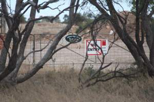 Signage on front gate - Australian pig farming - Captured at Dublin Piggery, Dublin SA Australia.