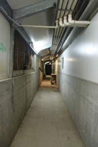 Walkway at side of shed - Australian pig farming - Captured at Girgarre Piggery, Girgarre VIC Australia.