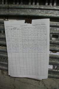 Record sheet - Australian pig farming - Captured at Girgarre Piggery, Kyabram VIC Australia.