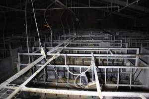 Farrowing crates at Huntly Piggery NSW - Australian pig farming - Captured at Huntly Piggery, Huntly North VIC Australia.