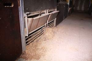 Farrowing crates at Girgarre Piggery VIC - Australian pig farming - Captured at Girgarre Piggery, Girgarre VIC Australia.