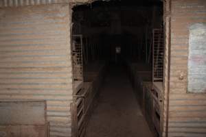 Farrowing crates at Willawa Piggery NSW - Australian pig farming - Captured at Willawa Piggery, Grong Grong NSW Australia.