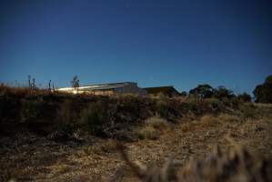 Piggery sheds outside at night - Australian pig farming - Captured at Yelmah Piggery, Magdala SA Australia.