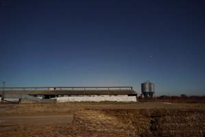 Piggery sheds outside at night - Australian pig farming - Captured at Yelmah Piggery, Magdala SA Australia.