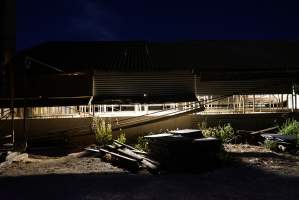 Piggery sheds outside at night - Australian pig farming - Captured at Yelmah Piggery, Magdala SA Australia.