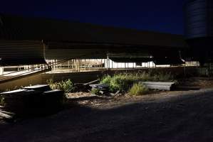 Piggery sheds outside at night - Australian pig farming - Captured at Yelmah Piggery, Magdala SA Australia.