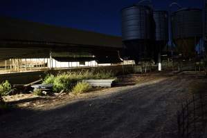 Piggery sheds outside at night - Australian pig farming - Captured at Yelmah Piggery, Magdala SA Australia.