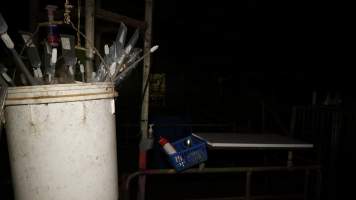 Buckets of pork stork catheters - Australian pig farming - Captured at Yelmah Piggery, Magdala SA Australia.