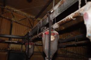 Farrowing crates at Mindarra Piggery WA - Australian pig farming - Captured at Mindarra Piggery (module 1), Boonanarring WA Australia.