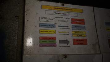 Yelmah mating procedure signage - Australian pig farming - Captured at Yelmah Piggery, Magdala SA Australia.