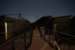 Piggery sheds outside at night - Australian pig farming - Captured at Yelmah Piggery, Magdala SA Australia.