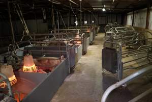 Farrowing crates at Yelmah Piggery SA - Australian pig farming - Captured at Yelmah Piggery, Magdala SA Australia.