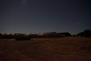 Piggery sheds outside at night - Australian pig farming - Captured at Yelmah Piggery, Magdala SA Australia.