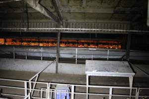 Farrowing shed visible through window - Australian pig farming - Captured at Sheaoak Piggery, Shea-Oak Log SA Australia.