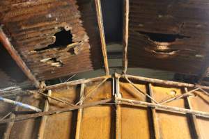 Ceiling of group sow housing shed - Australian pig farming - Captured at Yelmah Piggery, Magdala SA Australia.