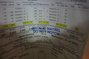 Farrowing record - 'Invalid mating - do not notch' - Captured at Yelmah Piggery, Magdala SA Australia.