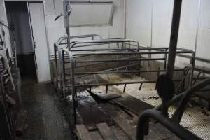 Farrowing crates being dismantled - Australian pig farming - Captured at Yelmah Piggery, Magdala SA Australia.