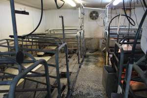Half of farrowing room not in use - Australian pig farming - Captured at Yelmah Piggery, Magdala SA Australia.