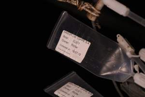 Used tube of semen from Sabor (Clare SA) - Australian pig farming - Captured at Yelmah Piggery, Magdala SA Australia.
