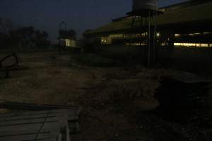 Piggery sheds from outisde - Australian pig farming - Captured at Yelmah Piggery, Magdala SA Australia.