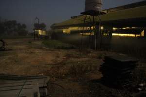 Piggery sheds from outisde - Australian pig farming - Captured at Yelmah Piggery, Magdala SA Australia.