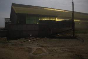 Piggery sheds from outisde - Australian pig farming - Captured at Yelmah Piggery, Magdala SA Australia.