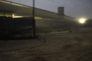 Piggery sheds from outisde - Australian pig farming - Captured at Yelmah Piggery, Magdala SA Australia.