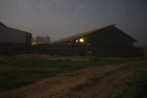 Piggery sheds from outisde - Australian pig farming - Captured at Yelmah Piggery, Magdala SA Australia.