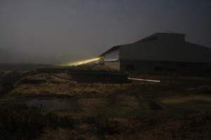 Piggery sheds from outisde - Australian pig farming - Captured at Yelmah Piggery, Magdala SA Australia.