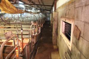 Farrowing crates at Yelmah Piggery SA - Australian pig farming - Captured at Yelmah Piggery, Magdala SA Australia.