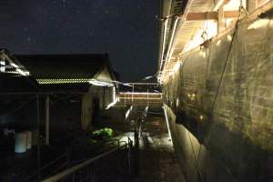 Piggery sheds outside at night - Australian pig farming - Captured at Yelmah Piggery, Magdala SA Australia.