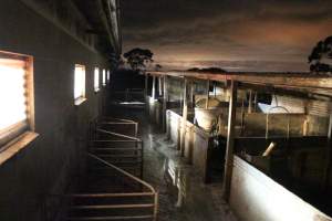 Piggery pens outside at night - Australian pig farming - Captured at Yelmah Piggery, Magdala SA Australia.