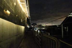 Piggery sheds outside at night - Australian pig farming - Captured at Yelmah Piggery, Magdala SA Australia.