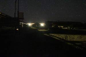 Piggery sheds outside at night - Australian pig farming - Captured at Yelmah Piggery, Magdala SA Australia.