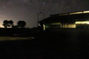 Piggery sheds outside at night - Australian pig farming - Captured at Yelmah Piggery, Magdala SA Australia.