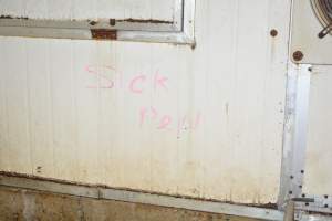 Sick Pen - Australian pig farming - Captured at Yelmah Piggery, Magdala SA Australia.