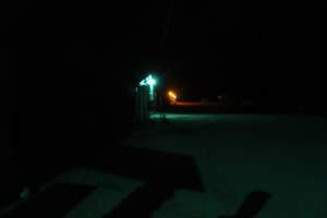 Broiler shed outside at night - Close to slaughter weight - Captured at Orland Poultry, Tailem Bend SA Australia.