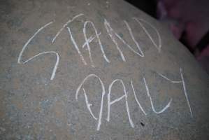 Singage at pig farm -
