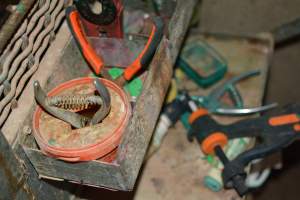 Piggery equipment - Captured at Dublin Piggery, Dublin SA Australia.