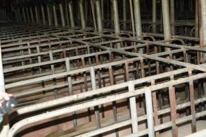 Sow stalls - Captured at Lindham Piggery, Wild Horse Plains SA Australia.