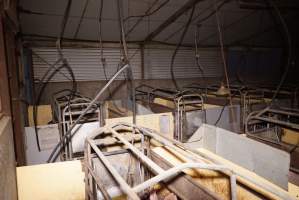 Farrowing crates at Ludale Piggery SA - Australian pig farming - Captured at Ludale Piggery, Reeves Plains SA Australia.