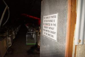 Looking through door into farrowing shed from outside - Sign: 'The taking of photos or film footage is not permitted on this property without prior written consent of the directors' - Captured at Ludale Piggery, Reeves Plains SA Australia.