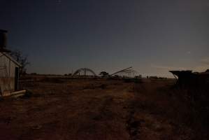 New eco sheds under construction - Australian pig farming - Captured at Ludale Piggery, Reeves Plains SA Australia.