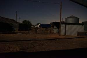 Pig transport truck - Australian pig farming - Captured at Ludale Piggery, Reeves Plains SA Australia.