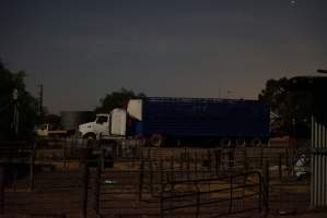 Pig transport truck - Australian pig farming - Captured at Ludale Piggery, Reeves Plains SA Australia.