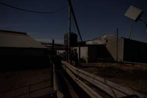 Piggery sheds outside at night - Australian pig farming - Captured at Ludale Piggery, Reeves Plains SA Australia.