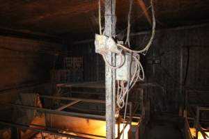 Farrowing crates - Australian pig farming - Captured at Bringelly Bacon Co, Leppington NSW Australia.